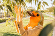© VISTA by Westend61 - Freelancer wearing bird mask touching leaf in park on sunny day