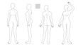 © pil - Human body full body illustration set transparent background solid line, woman, no face medical, fashion style
