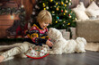 Cozy christmas atmosphere at home, child sitting on the bed, eating cookies with his little pet dog, maltese dog, enjoying christmas together