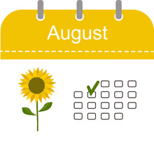 August Calendar Icon With Pattern Isolated On Transparent Background. Cartoon Flat Style