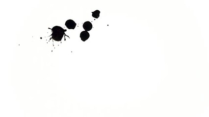 Poster - Drop black paint animation on the isolated white background. Abstract black ink footage for artistic overlay, transition and texture footage.