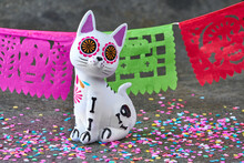 Mysterious Cat Glancing To Another World 
Big Spiritual Festivity Held In Mexico Honoring The Departed

