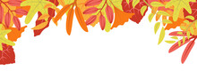 Autumn Nature Background With Leafage Pattern Concept. Horizontal Web Banner With Orange, Red And Yellow Leaves And Berries Elements. Cute Plants Border. Illustration In Flat Design For Website.