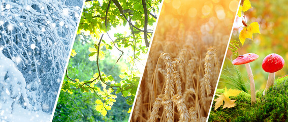 colorful collage of landscape backgrounds, change of four seasons, summer, spring, winter, autumn ti