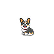 Cute corgi tricolor dog sitting cartoon, vector illustration