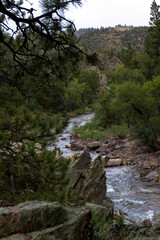 Poster - Cache La Poudre Wild and Scenic River Valley in Colorado on a stormy, overcast day