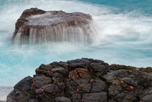 Waves Crashing Over Lava Rocks On Shoreline Of Espanola Island, Galapagos Islands, Ecuador.