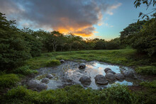 Galapagos Giant Tortoise Gathering In Small Pond At Sunset. Genovesa Island, Galapagos Islands, Ecuador.
