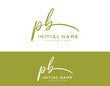 initial pb signature handwriting logo design.	