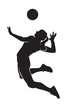 vector silhouettes of women's beach volleyball on white