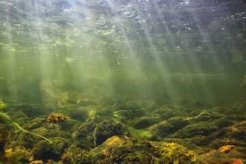 Wall Mural - sun rays under water landscape, seascape fresh water river diving