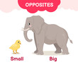 Vector learning material for kids opposites big small. Cartoon illustrations of cute elephant and chicken.