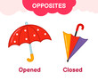 Vector learning material for kids opposites open closed. Cartoon illustrations of open and closed umbrella..