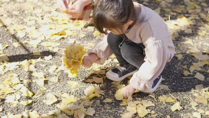 Canvas Print - スローモーション　イチョウ並木を観光する家族（育児・子育て）