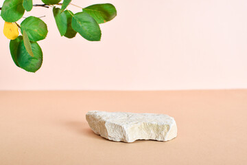 Wall Mural - Stone podium on beige background with leaves. Abstract eco-showcase for organic products