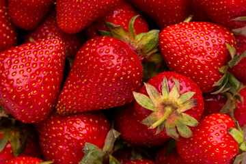 Poster - Juicy strawberries close up. Background of red juicy strawberries.