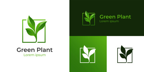 growth plant green nature logo design, fresh tree seeds icon logo for ecology, environment, garden farm and agriculture logo design