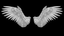Flapping Angel Wings - 3d Render Looped With Alpha Channel.
