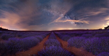 beautiful lavender field under a colorful sky