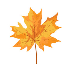 Poster - Autumn Maple Leaf