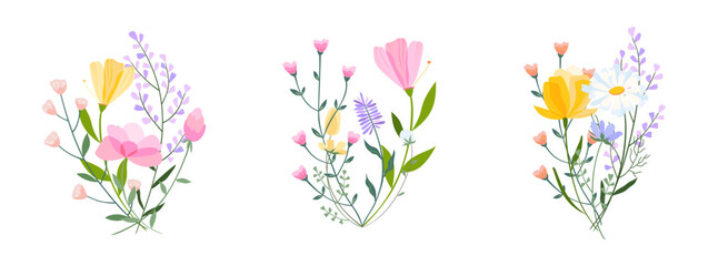 Vector floral bouquet illustration. Set of leaves, wildflowers, twigs, floral arrangements. Beautiful compositions of field grass and bright spring flowers.