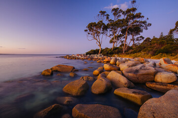 Poster - Binalong Bay Sunset in Tasmania Australia