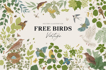 Free Birds. Card. Vector Vintage Illustration.