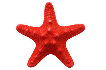 Wall Mural - red starfish isolated on transparency photo png file