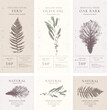 Elegant Label collection for Natural organic herbal products. Vintage packaging design set for Cosmetics, Pharmacy, healthy food