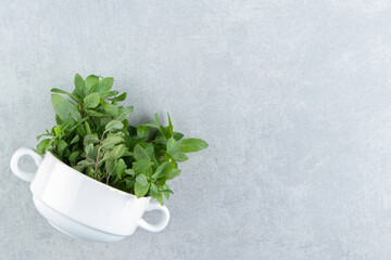 A cup of organic mint , on the marble background