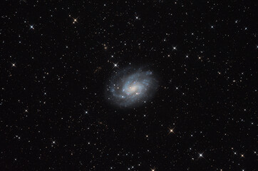 Wall Mural - ngc 300