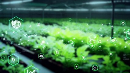 Poster - Plant factory and biotechnology concept.