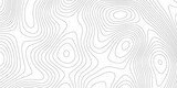Fototapeta Do przedpokoju - Abstract topographic contours map background .Topographic background and texture, monochrome image. Topography and geography map grid abstract backdrop. Business concept. Fish Fillet Texture .