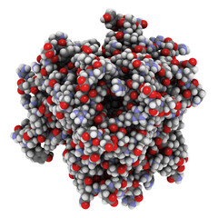 Poster - Tumor necrosis factor (TNF, cachexin, cachectin), chemical structure