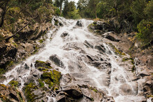 Waterfall In Forest In Rocky Mountains