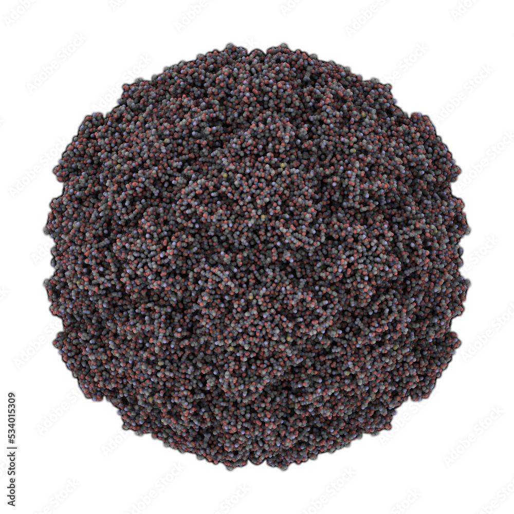 Human Rhinovirus 16. Rhinoviruses are the main cause of the common cold ...