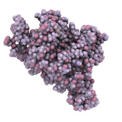 Poster - Interleukin 6 (IL-6) molecule, chemical structure