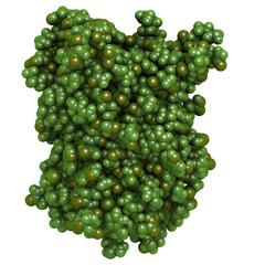 Wall Mural - Green fluorescent protein (GFP), chemical structure. Often used in biotech and life sciences as a model protein.