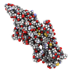 Canvas Print - Follicle-stimulating hormone (FSH) molecule, chemical structure