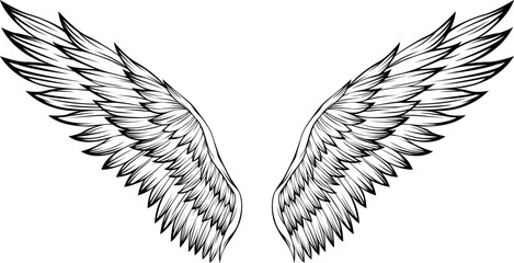 Wall Mural - Bird wings vector illustration tattoo style. Hand drawn design element.