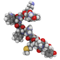 Canvas Print - melanotropin (alfa-MSH, melanocyte stimulating hormone), chemical structure