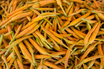 Sticker - Dry orange flower harvest in the farm