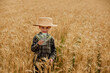 © volody10 - Little boy is holding dollars among a field of ripe ears of corn. Profit from agriculture during harvesting season in the summer