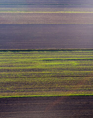 Canvas Print - Aerial view at farmlands from ballon