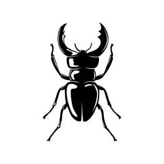 Wall Mural - Black  Stag beetle. PNG illustration. 