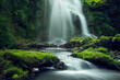 Leinwandbild Motiv Waterfall with forest stream and green moss	
