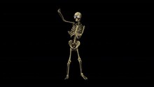 Skeleton Dancer Transparent Alpha Video Animation