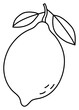 Lime or lemon. Citrus fruit sketch. Black line icon. Illustration for coloring book