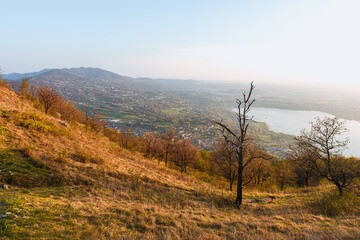 Wall Mural - the alps, lakes and cities of brianza seen in the sunset light from the top of mount Barro, near the town of lecco, Italy - April 2022.