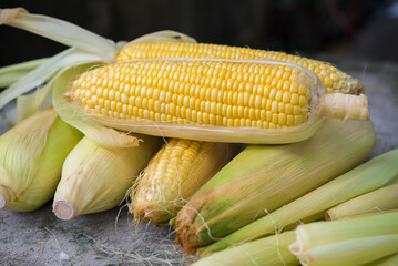 Wall Mural - Fresh corn, sweet corn